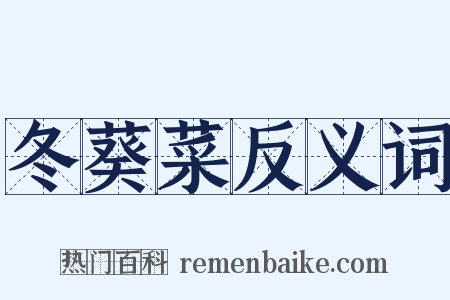 冬葵菜反义词是什么意思的图片